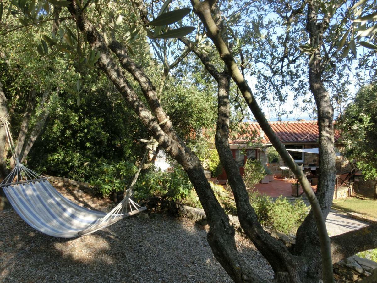 Talamoni B&B 塔拉莫内 外观 照片